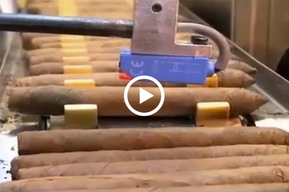 Proceso de producción de un cigarro mecanizado